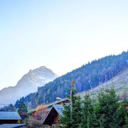 Renove Proche Centre Morzine, Pour 4 Personnes - Fr-1-524-83 Appartement