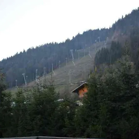Appartement Renove Proche Centre Morzine, Pour 4 Personnes - Fr-1-524-83